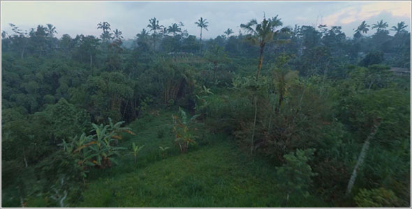 Dramatic Jungle Aerial 2 Stock Footage Videohive